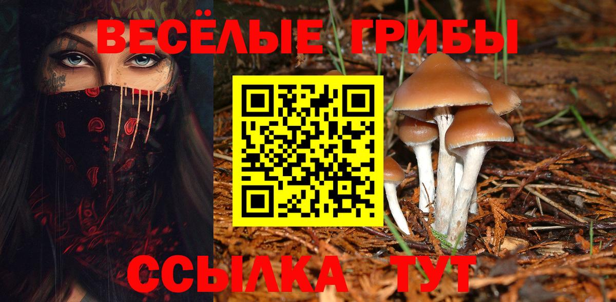 Галлюциногенные грибы мицелий Родники