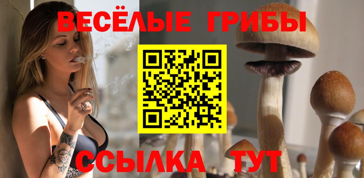 Галлюциногенные грибы ЛСД  Псилоцибиновые грибы мицелий  Родники  дарнет шоп  Вход с VPN 